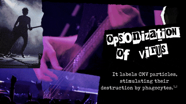 Biotest storyboard frame: complementing the solo act